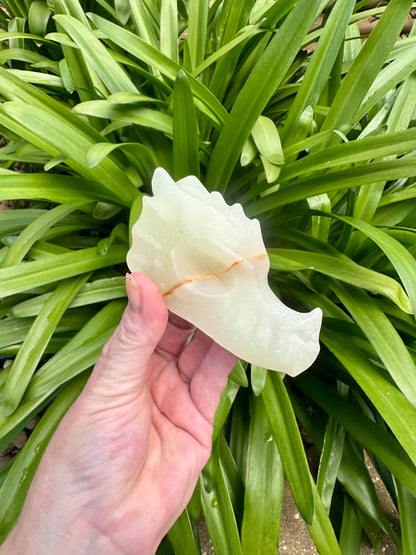 AFGHAN JADE DRAGON Head
