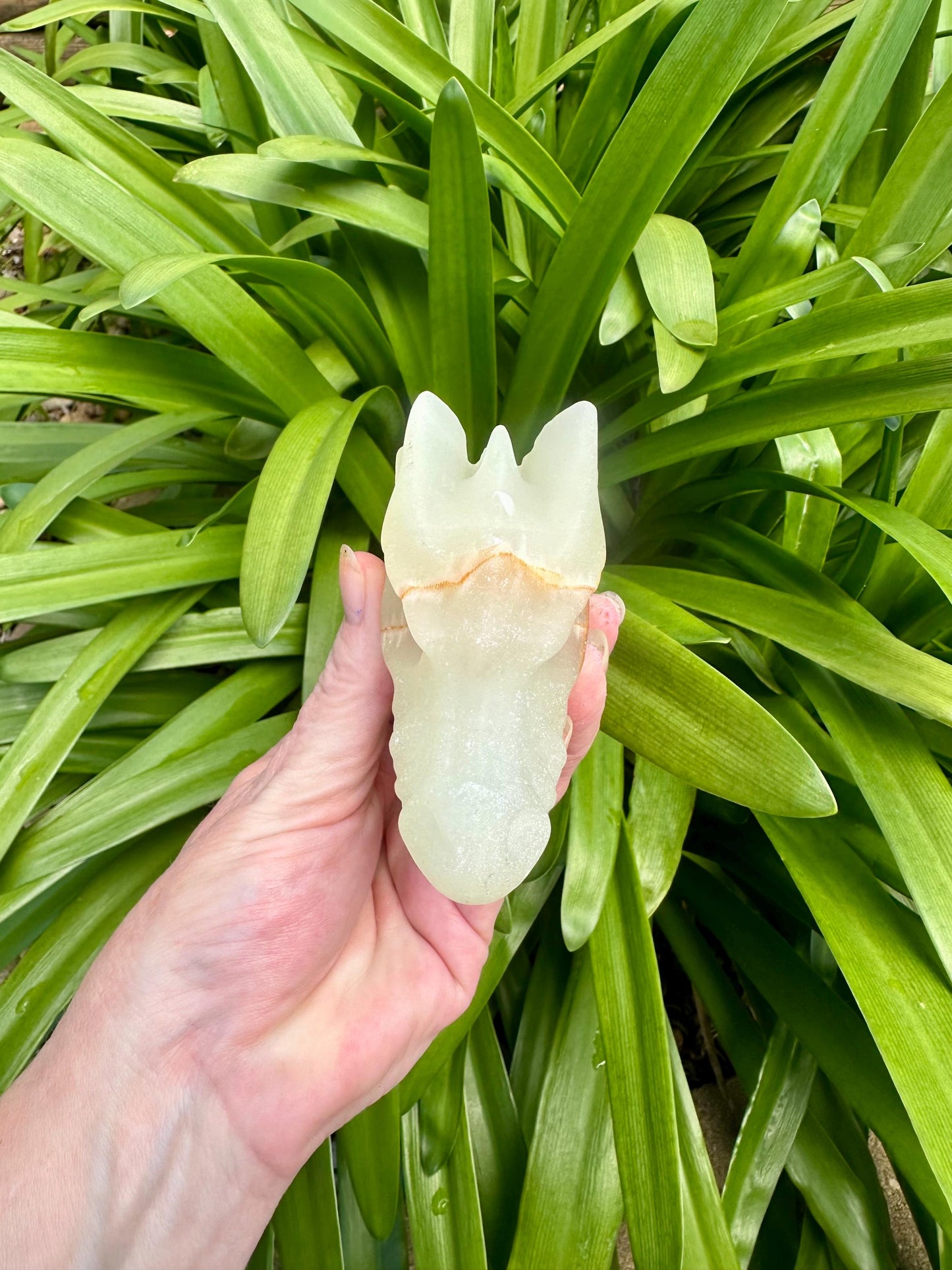 AFGHAN JADE DRAGON Head