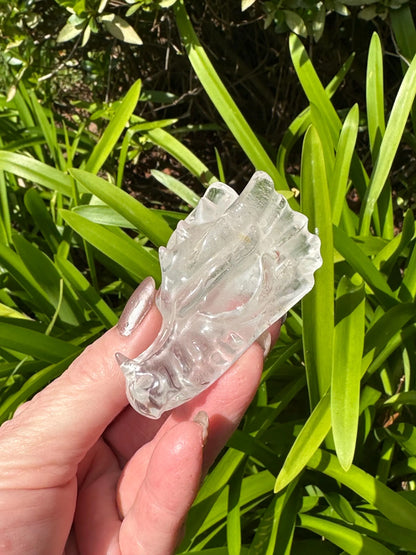 SMOKY Quartz CLEAR Quartz DRAGONHEAD
