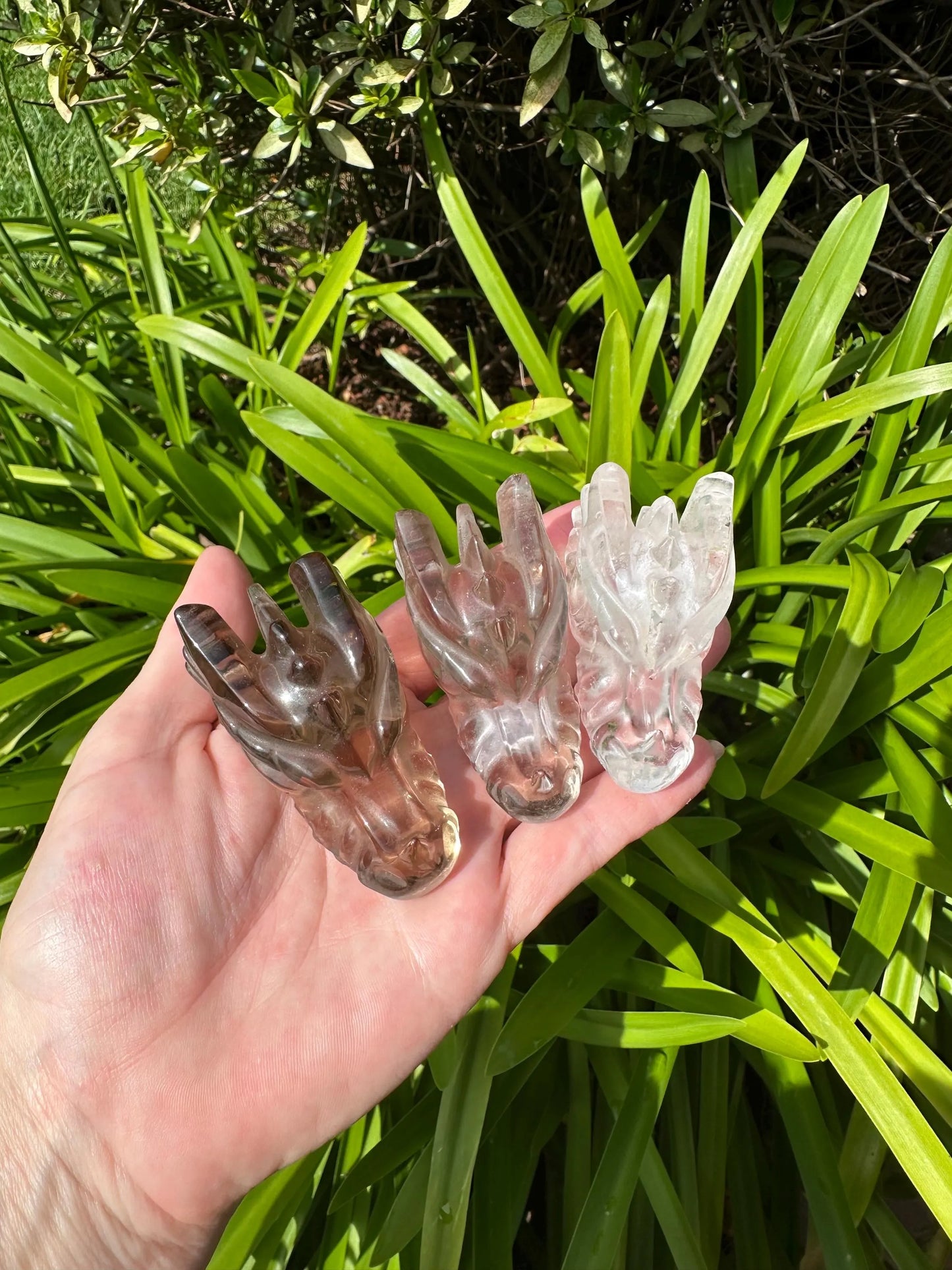 SMOKY Quartz CLEAR Quartz DRAGONHEAD