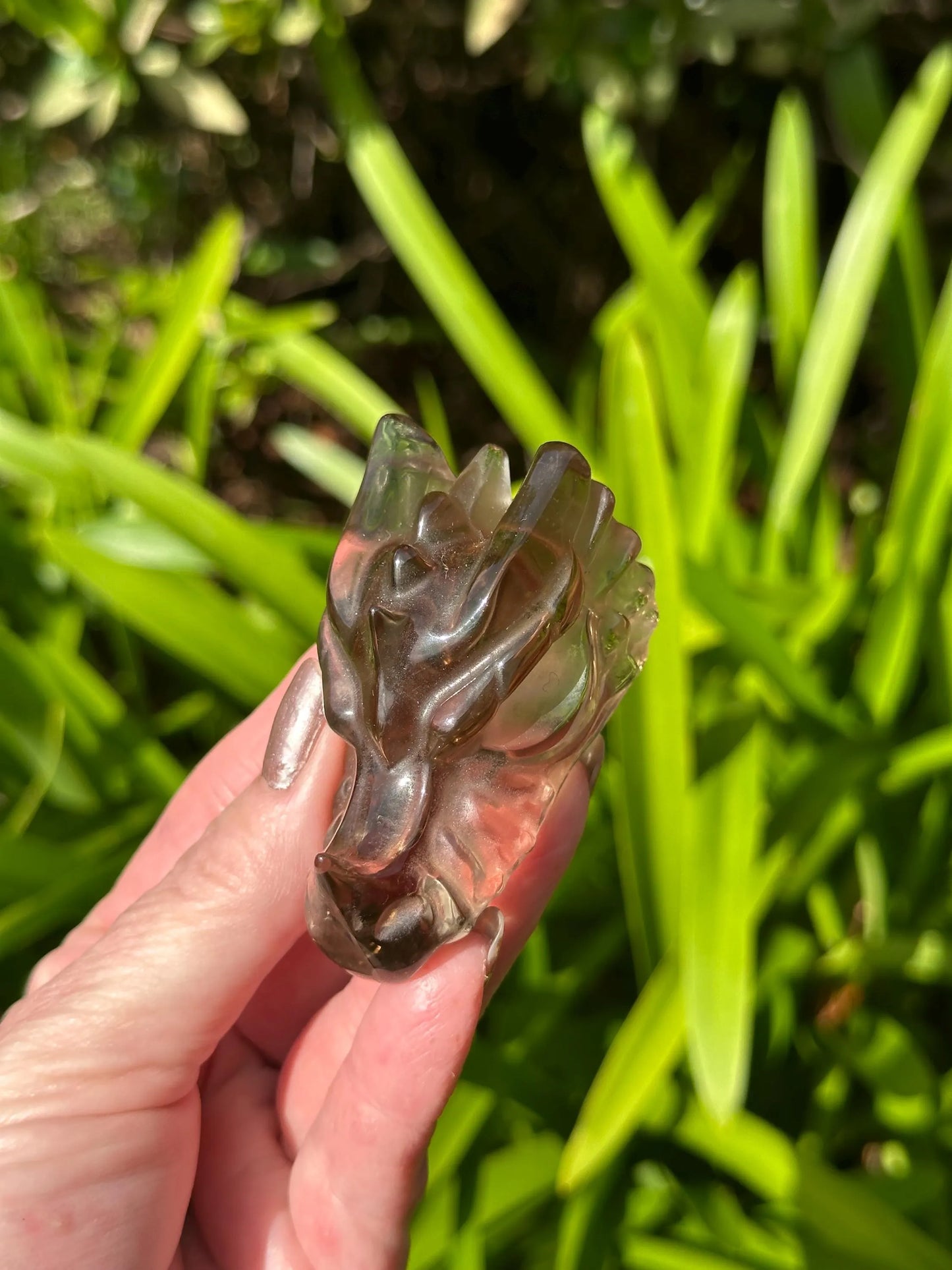 SMOKY Quartz CLEAR Quartz DRAGONHEAD