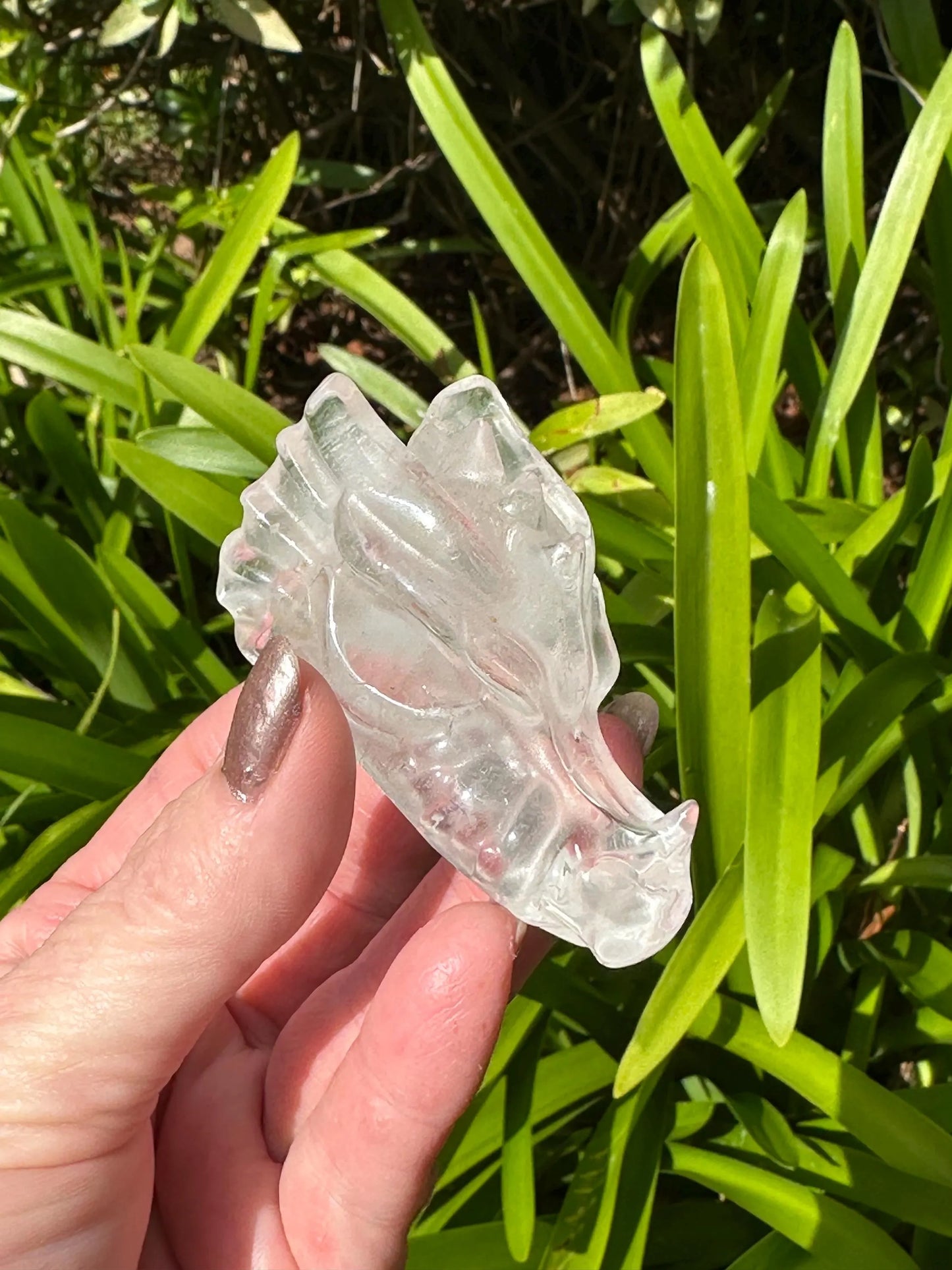 SMOKY Quartz CLEAR Quartz DRAGONHEAD