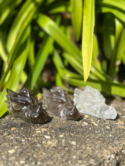 SMOKY Quartz CLEAR Quartz DRAGONHEAD