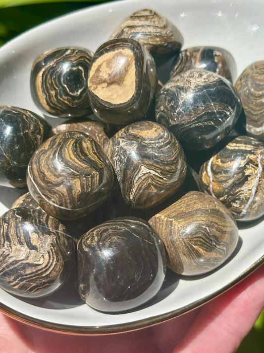 STROMATOLITE TUMBLES