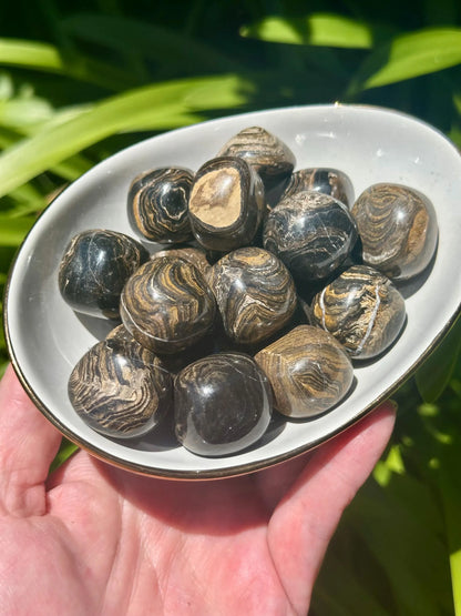 STROMATOLITE TUMBLES