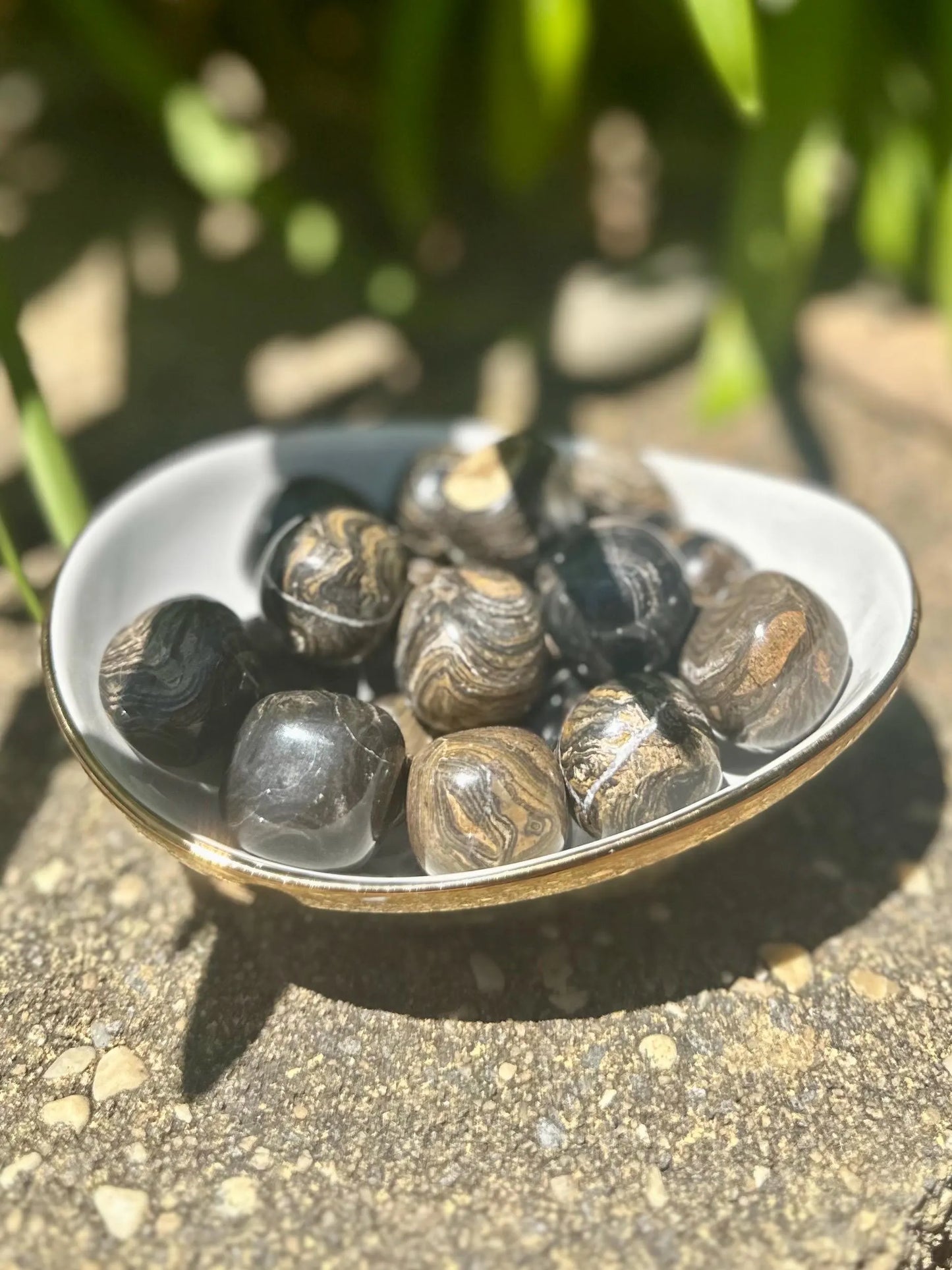 STROMATOLITE TUMBLES