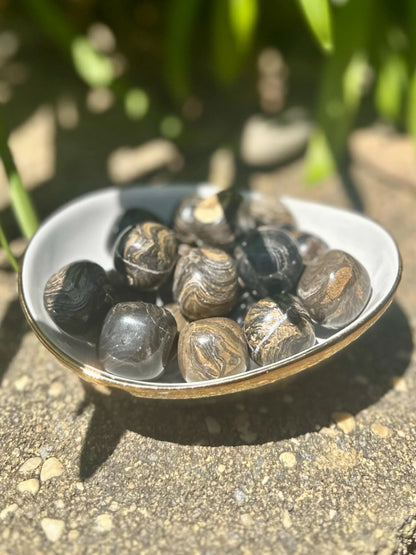 STROMATOLITE TUMBLES