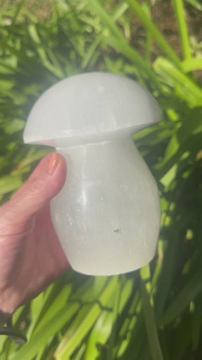 Large SELENITE MUSHROOM LAMP