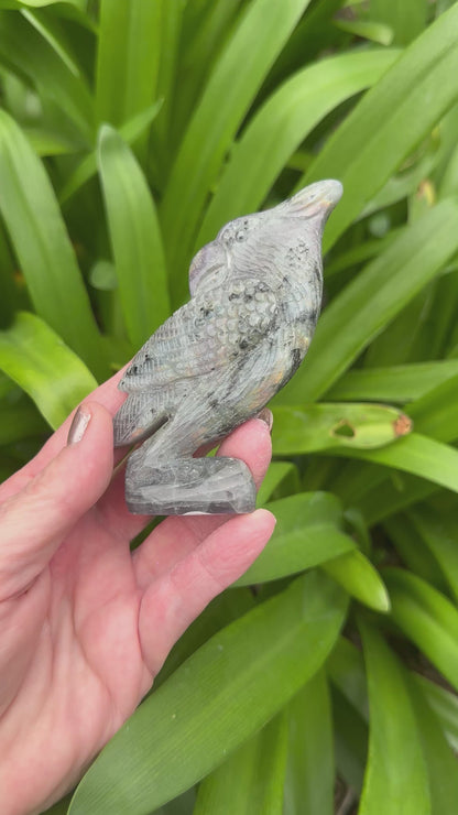 LABRADORITE PARROT Carving